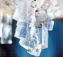 clip_image001 clip_image001