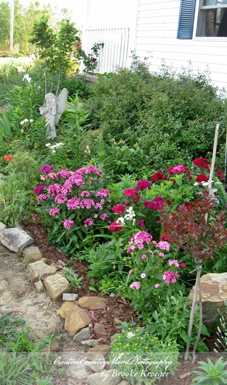 [IMG_4124%255B2%255D.jpg]