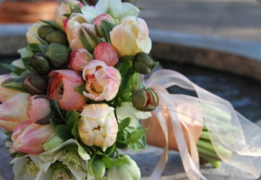25722_370318841805_370258671805_4166061_3470482_n fleursfrance.wordpress fleurs de france 25722_370318841805_370258671805_4166061_3470482_n fleursfrance.wordpress fleurs de france