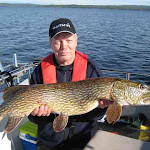 Kurt Persson 10550 gr