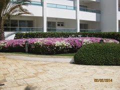Marbella Grounds