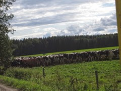 IMG_0692 IMG_0692