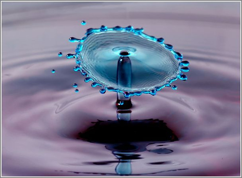 Drops: Never thought it can so beautiful