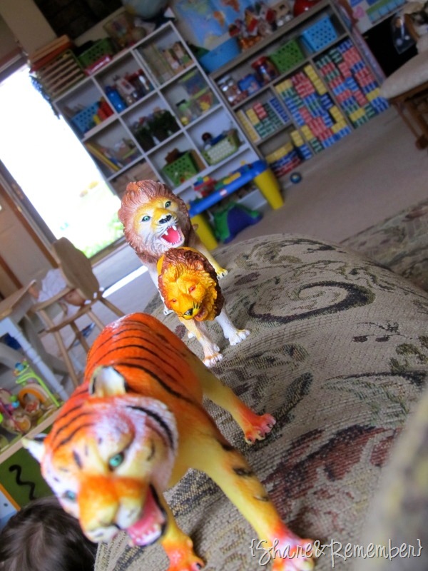 [lions-tigers-325.jpg]