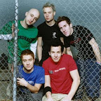 simple plan 22