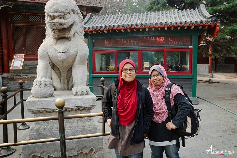 DSC02984 DSC02984