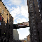 DSC_7691-2.jpg