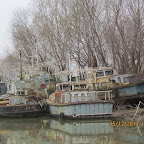 IMG_1589.JPG