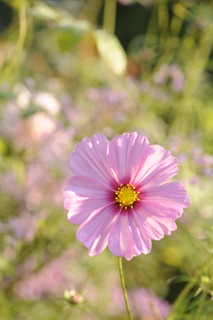 20090916_054238