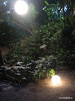 Iluminacion y Decoracion BODAS de Lujo (91).jpg