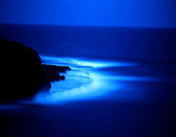 Image Dimension: 600x469 :: Photos: Trust me its Real Photos: Trust me its Real