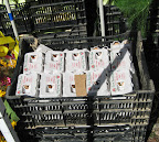 Our CSA offers eggs; we didn't buy a share, but the eggs are popular. Here they are about to be put in a cooler to protect them from the sun.