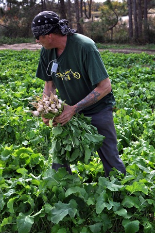[fall%2520produce%25201112%2520%252846%2529%255B4%255D.jpg]