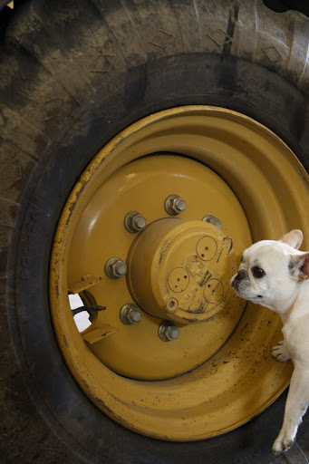 Steve, looks like these lug nuts need a torque adjustment.