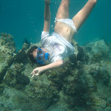 snorkeling in the Caribbean