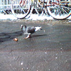 CIMG0012.JPG