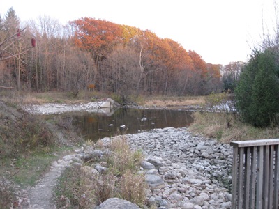 [IMG_4840%255B2%255D.jpg]
