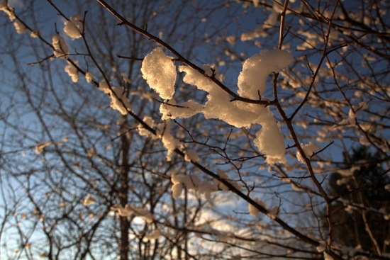 IMG_6739 IMG_6739