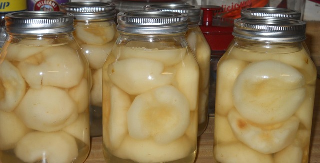 [pears09%255B2%255D.jpg]