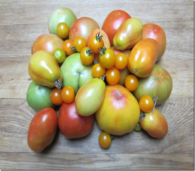 A pile of tomatoes