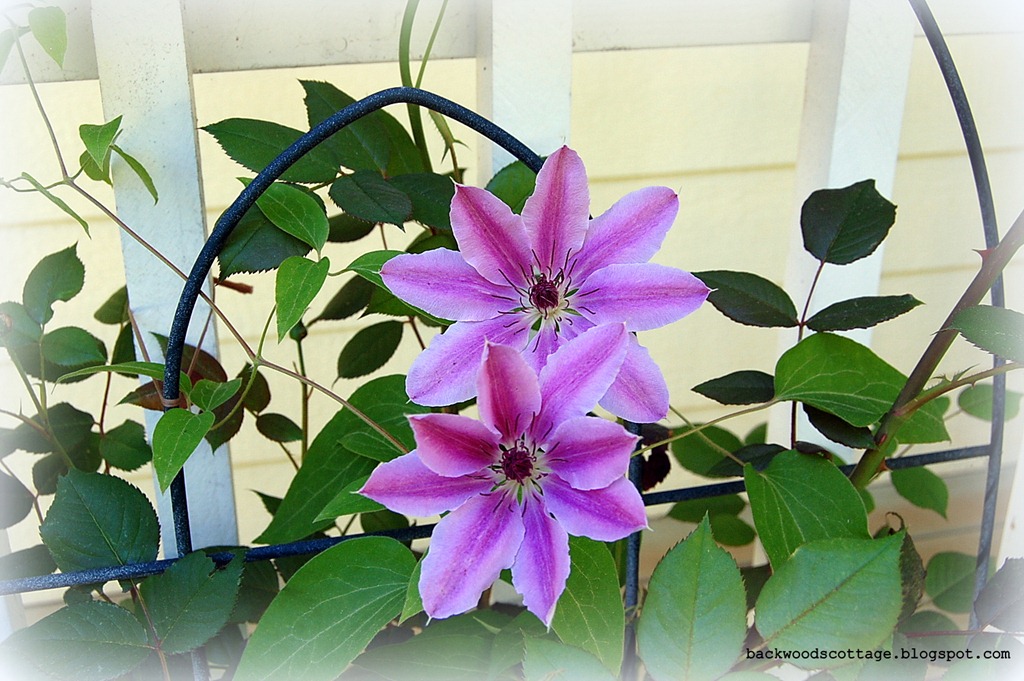 [DSC_0023%255B5%255D.jpg]