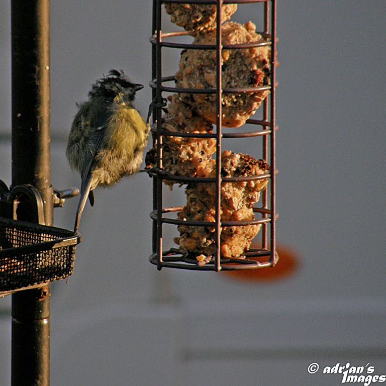 [P1090035_edited-1%255B5%255D.jpg]