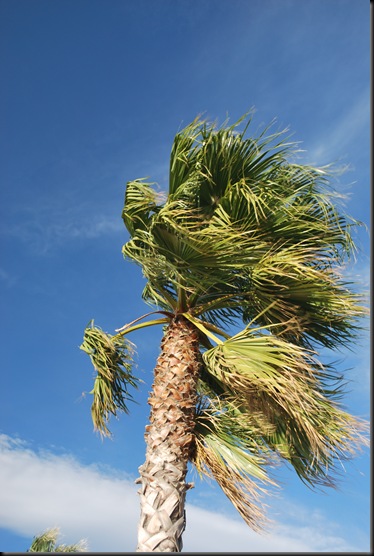 Six-Fours-les-Plages Strong wind