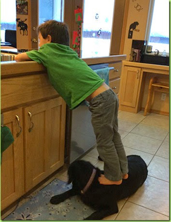 0102-sbs-palin-son-on-dog-facebook-4