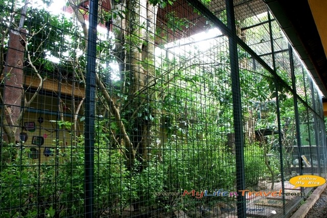 Langkawi Wildlife Park Langkawi Wildlife Park
