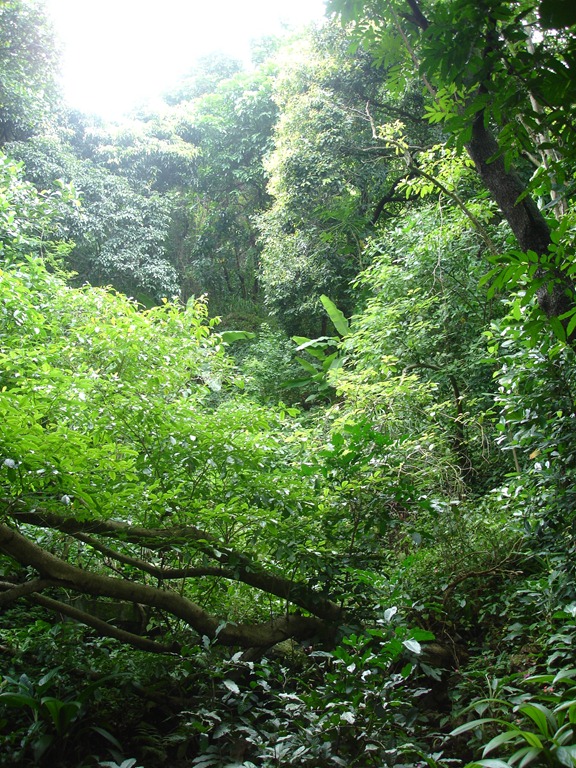 [DSC00784%255B5%255D.jpg]