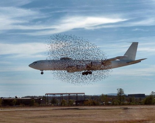 [viral-picdump-pics-62945b%255B2%255D.jpg]
