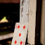 IMG_1995 IMG_1995