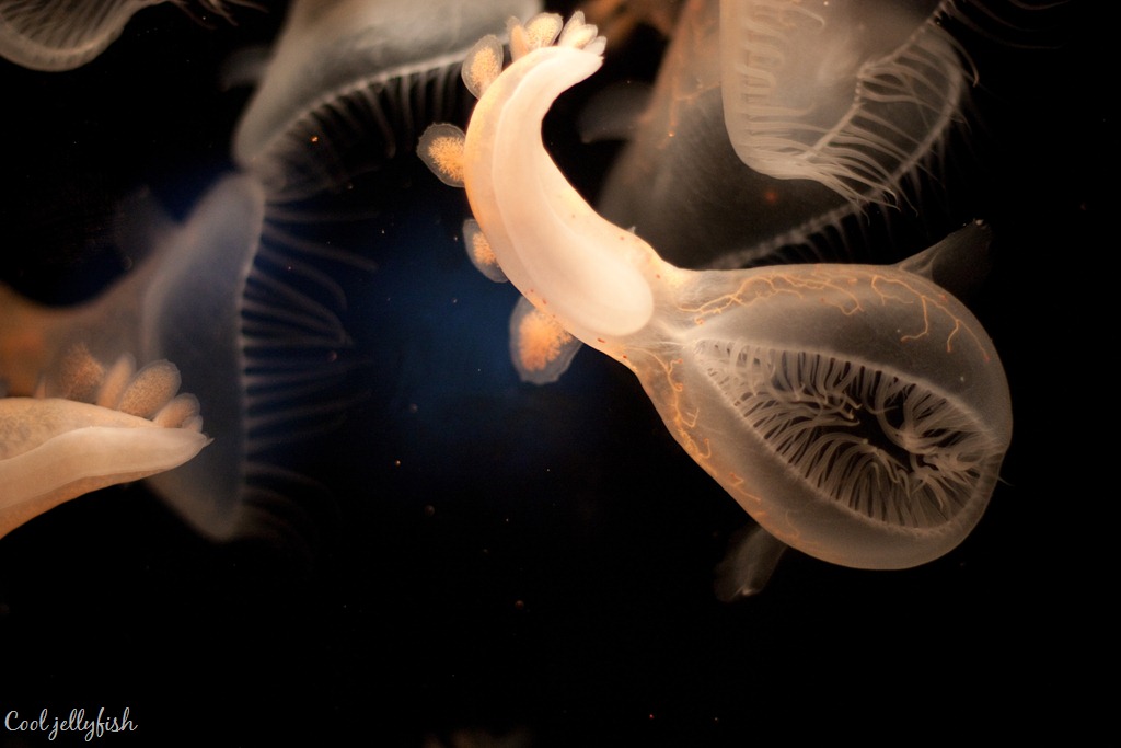 [20110812-IMG_4632%255B9%255D.jpg]