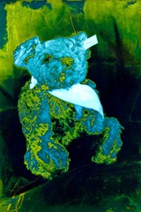 Split-Toned-Prints---Bears-1-D