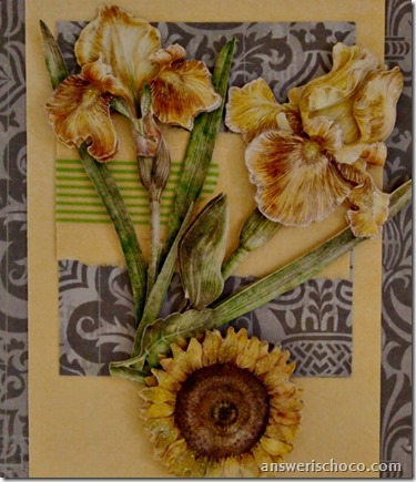 Yellow Irises 