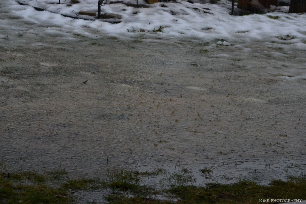 [DSC_7047%255B3%255D.jpg]