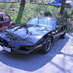 IMG_9145.jpg