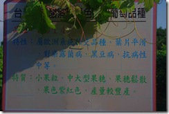 IMGP9954