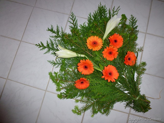 [P10502342.jpg]