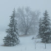 IMG_1200.JPG