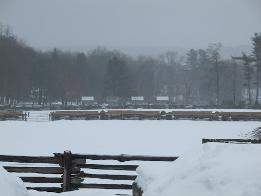 And not a donkey in sight - they must feel the same way and are hanging out in the stable. 4