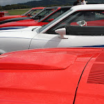 IMG_4377.JPG