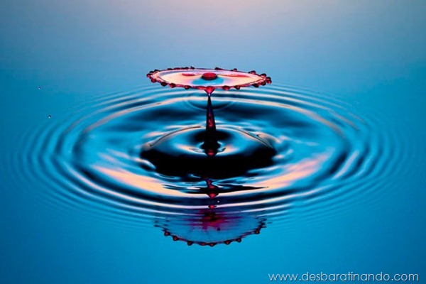 liquid-drop-art-gotas-caindo-foto-velocidade-hora-certa-desbaratinando (21) liquid-drop-art-gotas-caindo-foto-velocidade-hora-certa-desbaratinando (21)