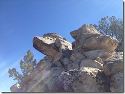 IMG_1311 IMG_1311