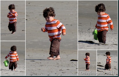 beach boy collage