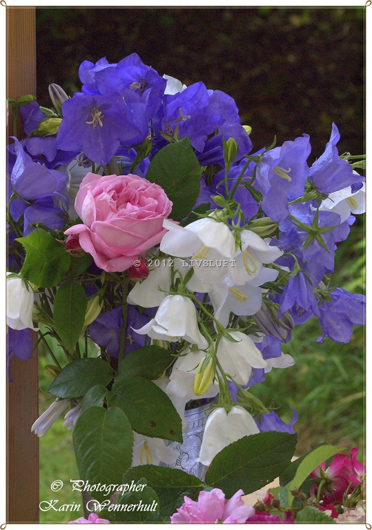 [1-P1016165RCrm9.jpg]