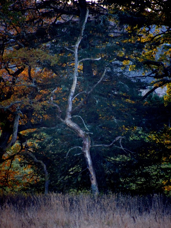 [28%2520Nov%25209%255B6%255D.jpg]