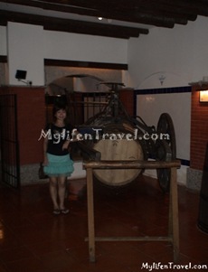 Wine Museum 36 Wine Museum 36