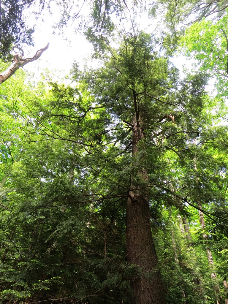 [IMG_71819.jpg]