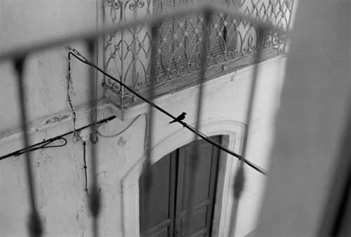 Bernard Plossu Bernard Plossu